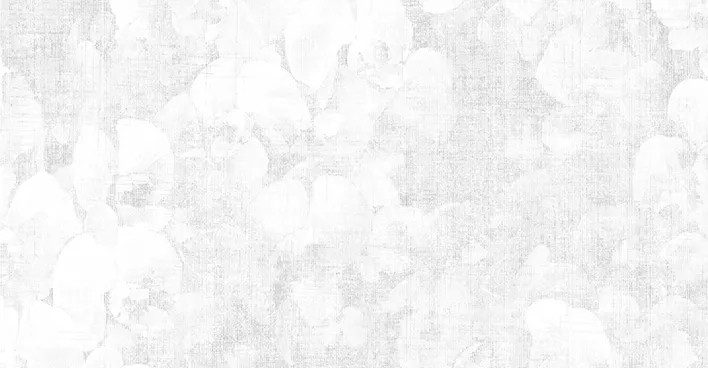 NVP543901