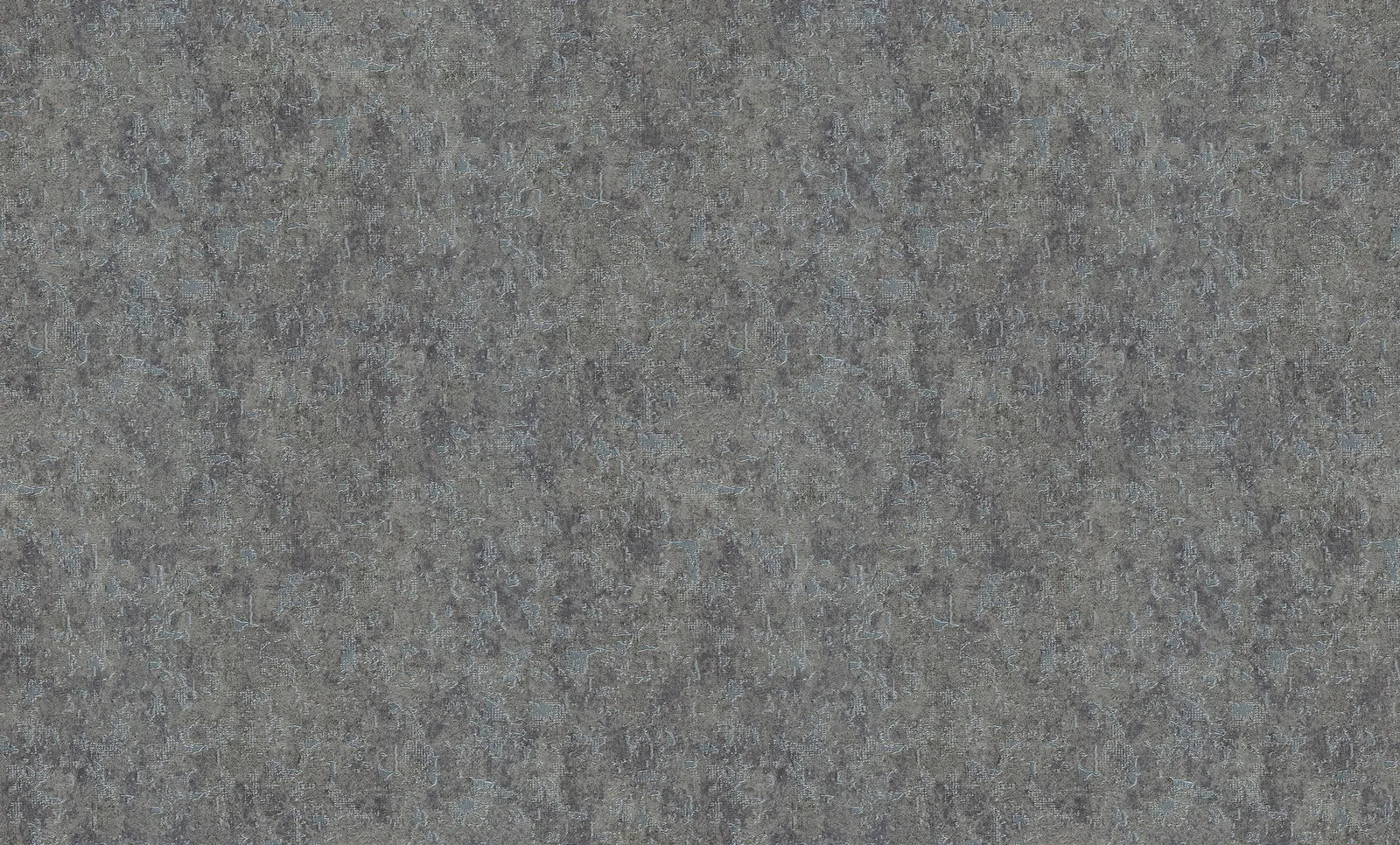 KF84806
