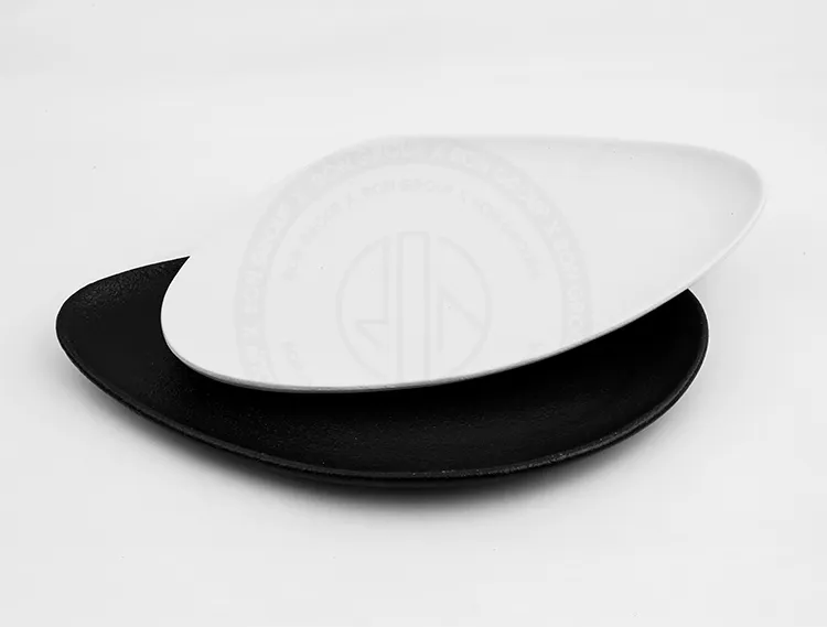 RNPCE011-2