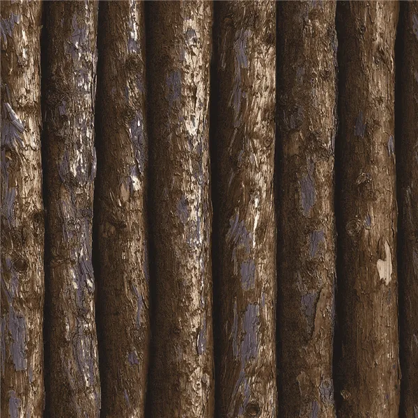 MT779601