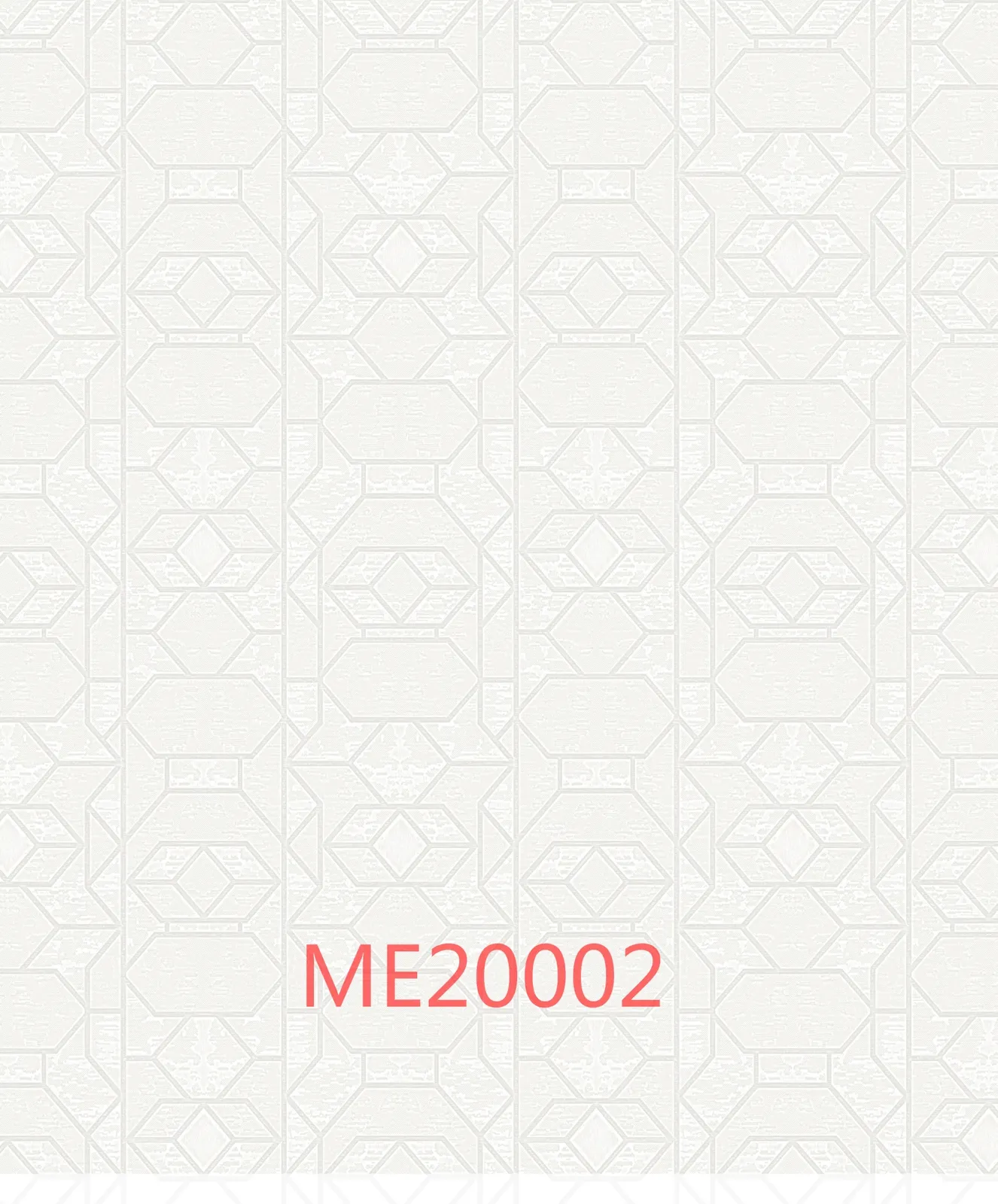 ME20002