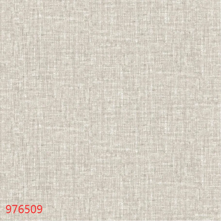 976509