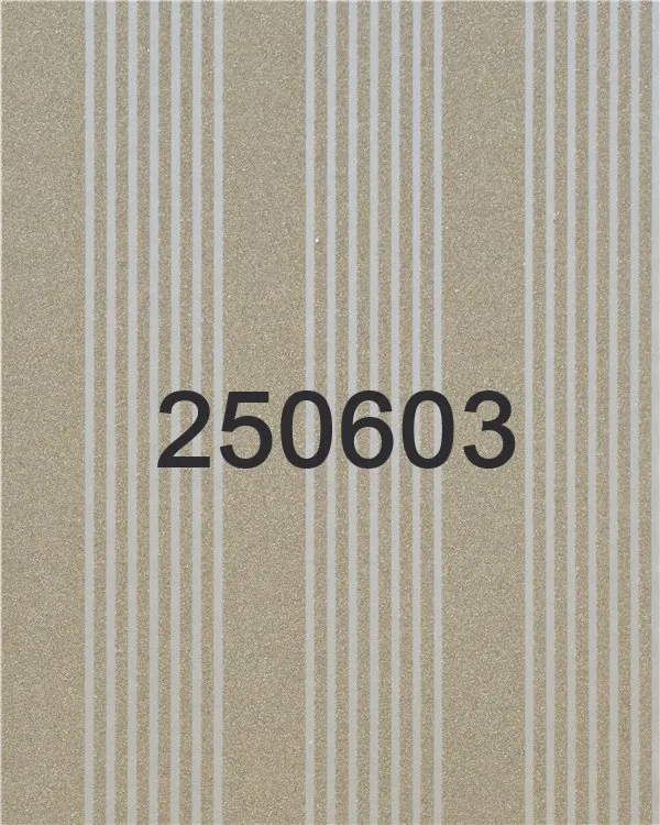 250603 - 250604