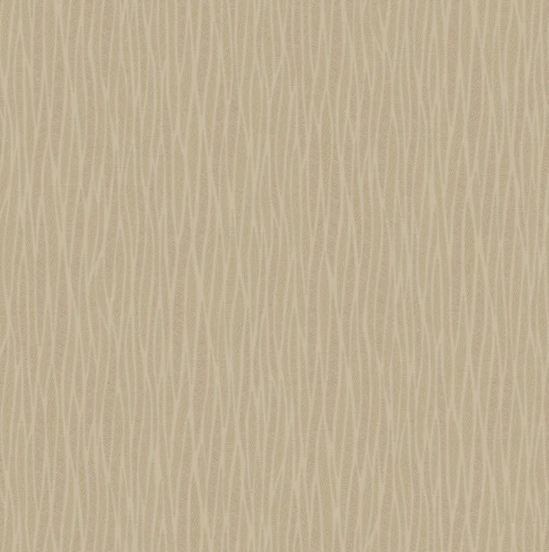 SN8016