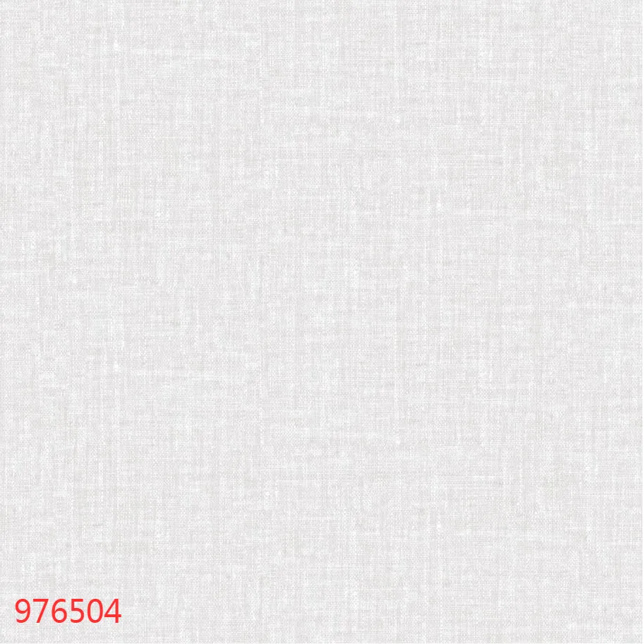 976504