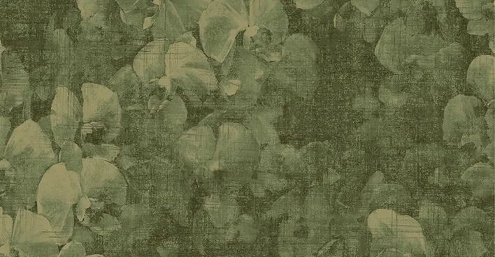 NVP543905