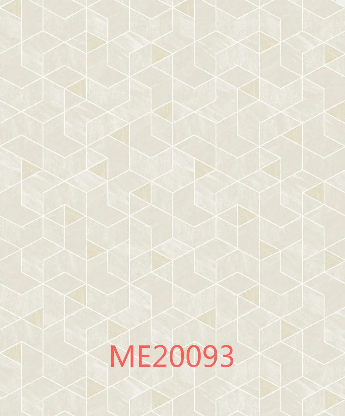 ME20093