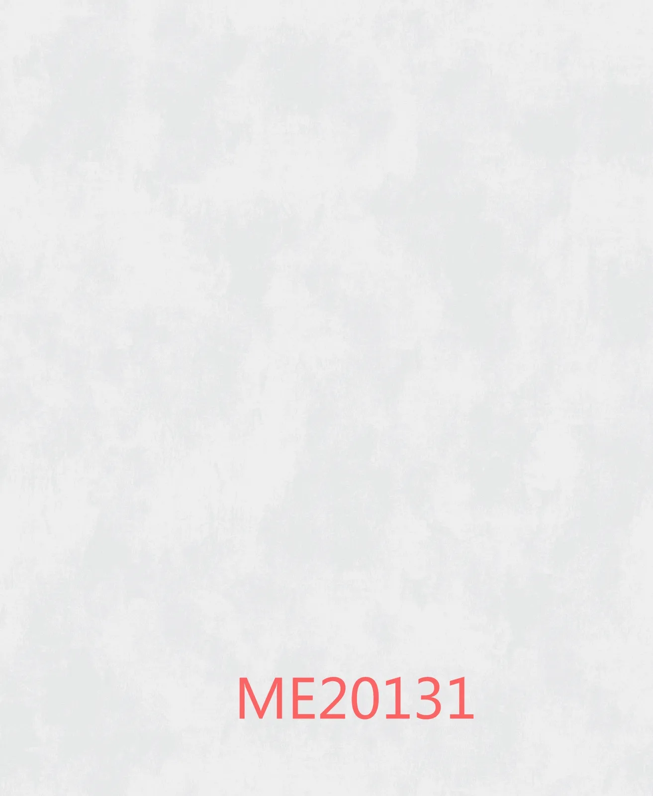 ME20131