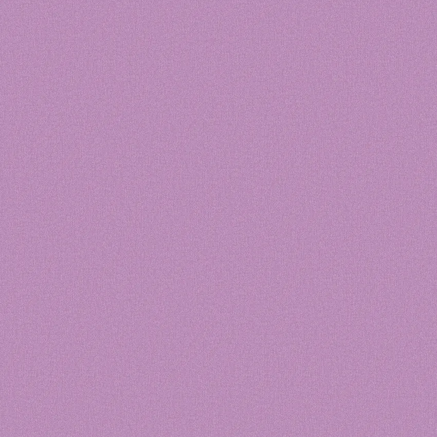 240496