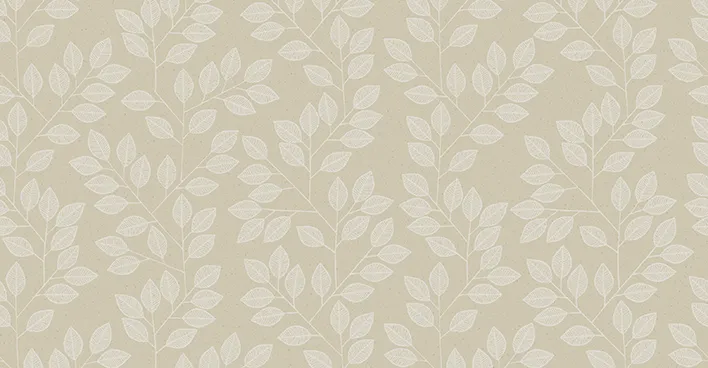 NVP544504