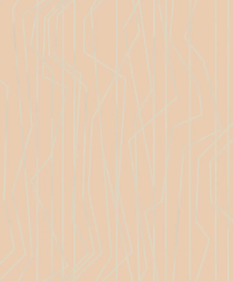 SN998024
