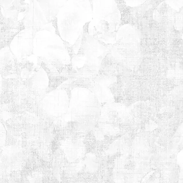 NVP543901
