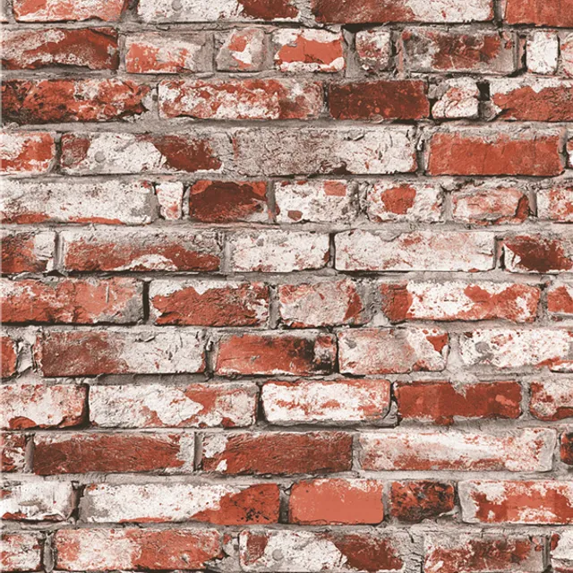 511704