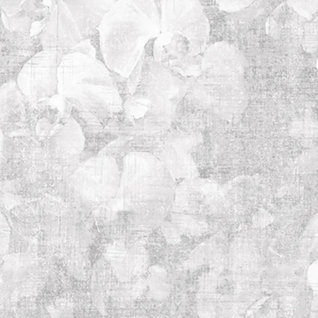 NVP543902