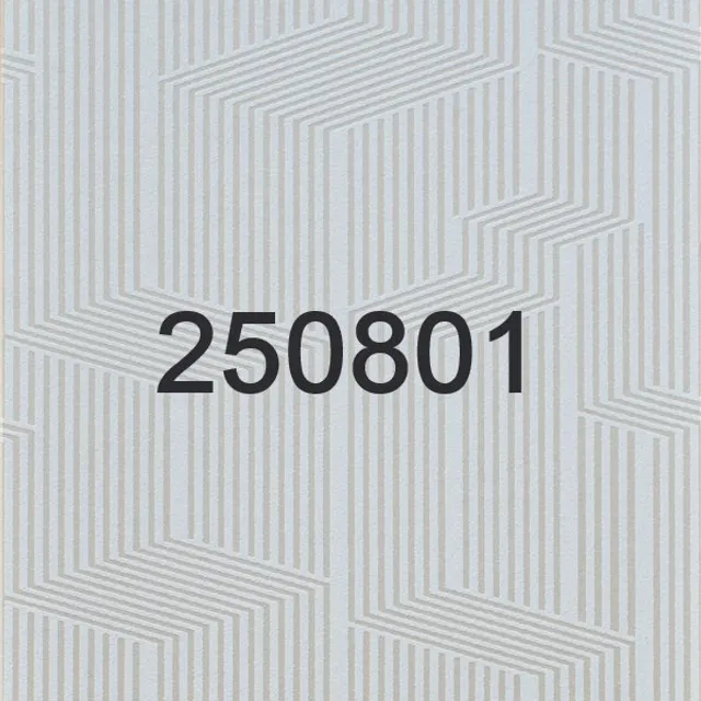 250801 - 250802 - 250803