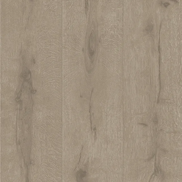 MT776603