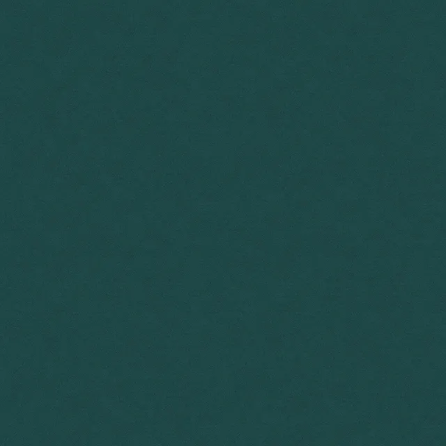 INF0066
