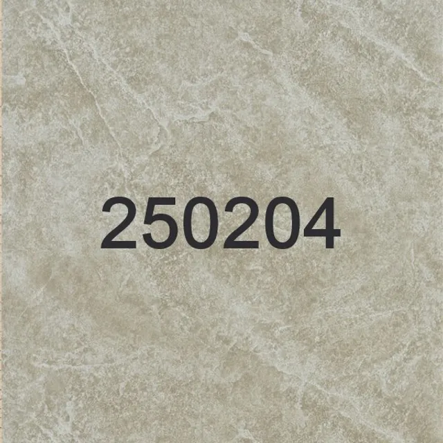 250204 - 250205