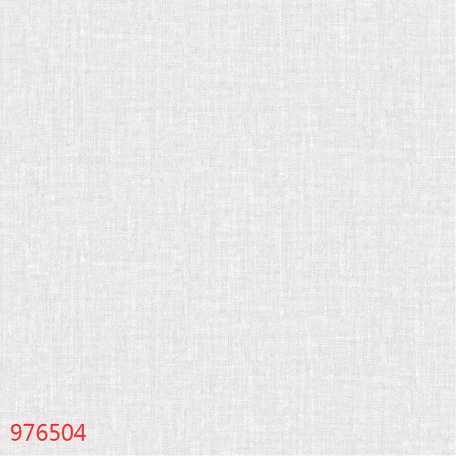 976504