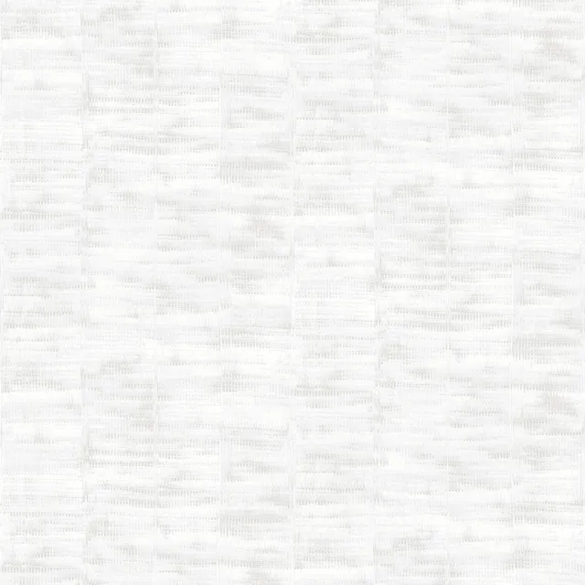 SG11011