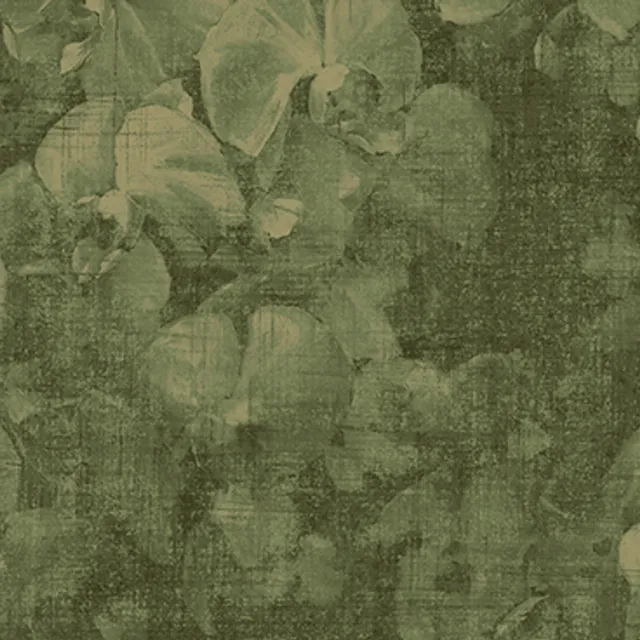 NVP543905