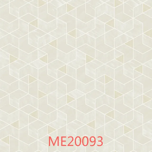 ME20093