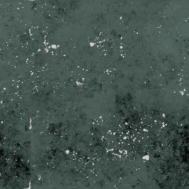 H2D771206