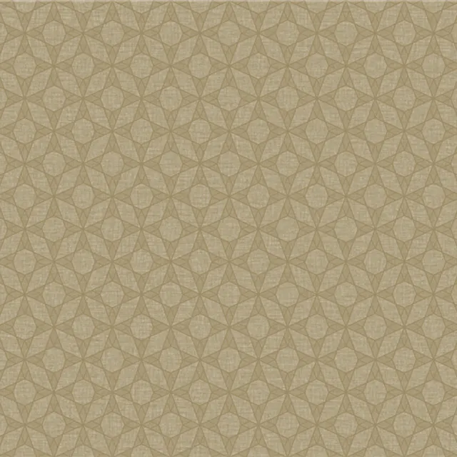 MT678704