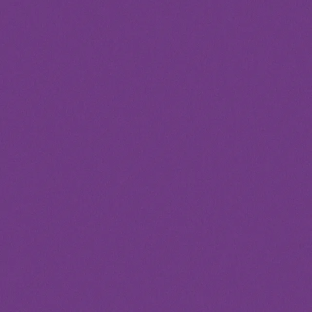 240495